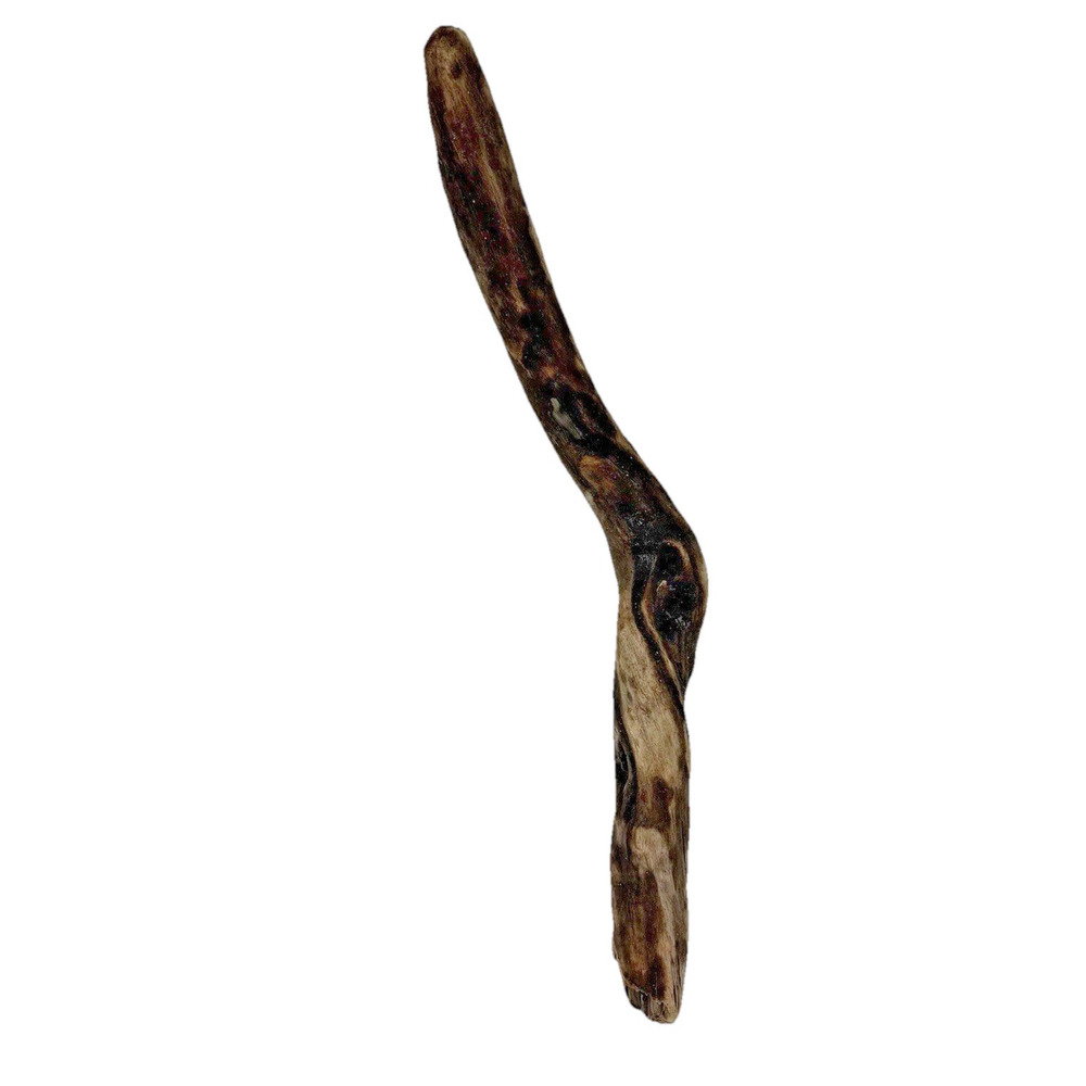 Bent California Driftwood with Burnt Patina & Natural Bend – Sculptural Wood